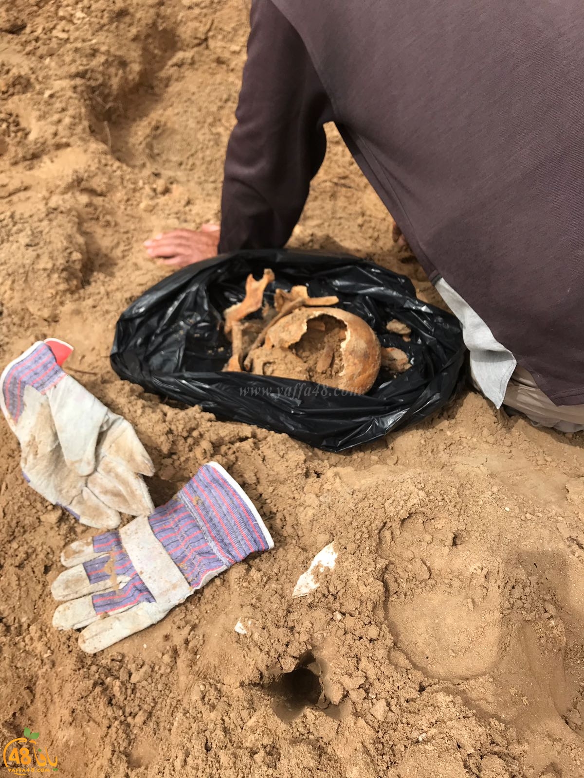 WhatsApp Image 2020-06-17 at 9.30.47 AM (3).jpeg.jpg.jpg